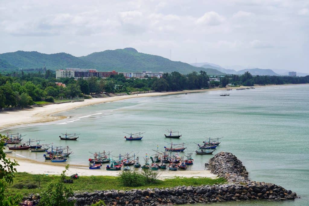 boats on sea near green trees during daytime