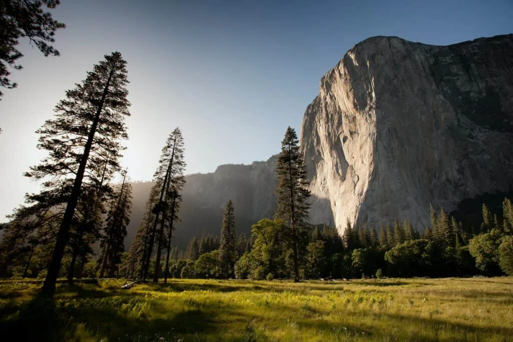 photographie historique d'arbres près d'une montagne rocheuse sous un ciel bleu pendant la journée