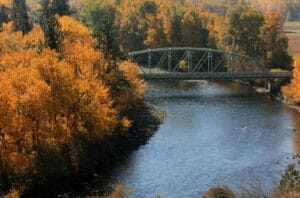 a bridge over a river surrounded by trees