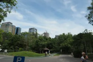 a couple of people riding bikes down a street