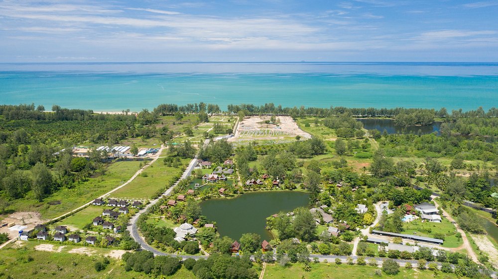 Aerial view of tropical coastline and greenery.