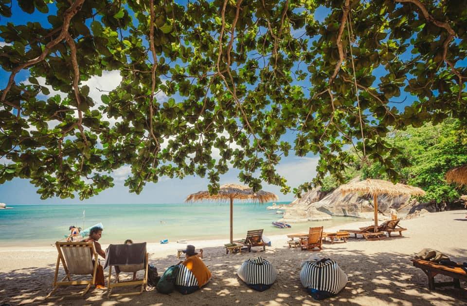 Tropical beach with chairs and umbrellas under trees.