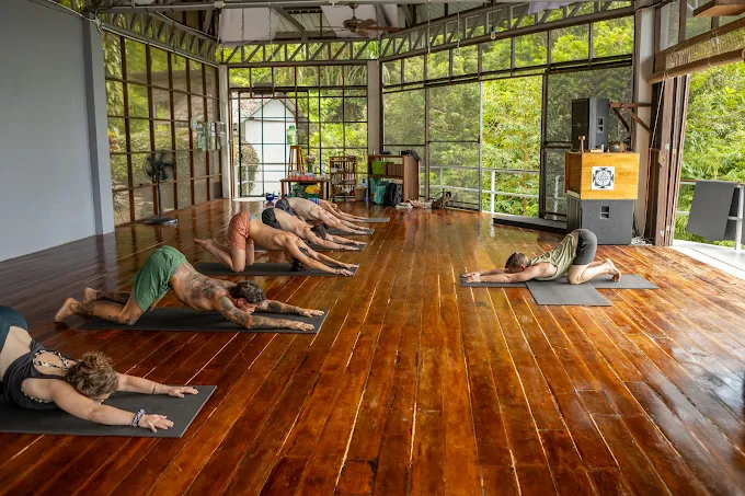 Group doing child’s pose yoga indoors.