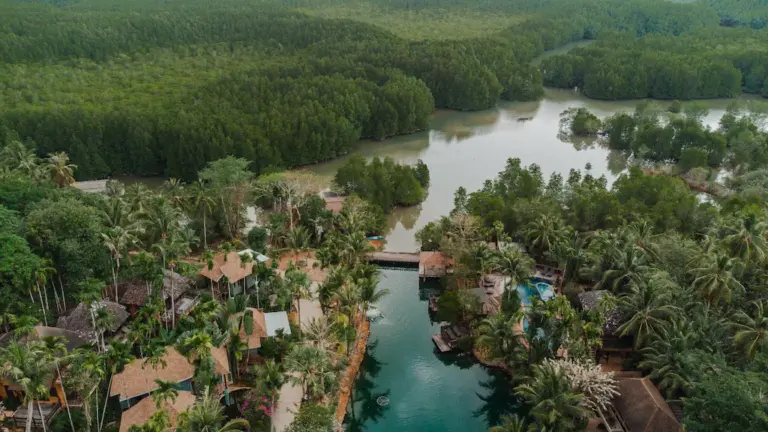 Aerial view of tropical resort surrounded by forest