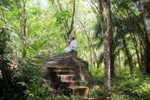 Person meditating on rock in lush forest
