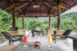Open-air pavilion with drinks and forest view