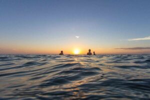 Silhouettes swimming in ocean at sunset