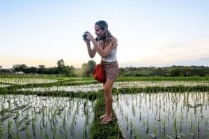 Woman photographing rice fields at sunset