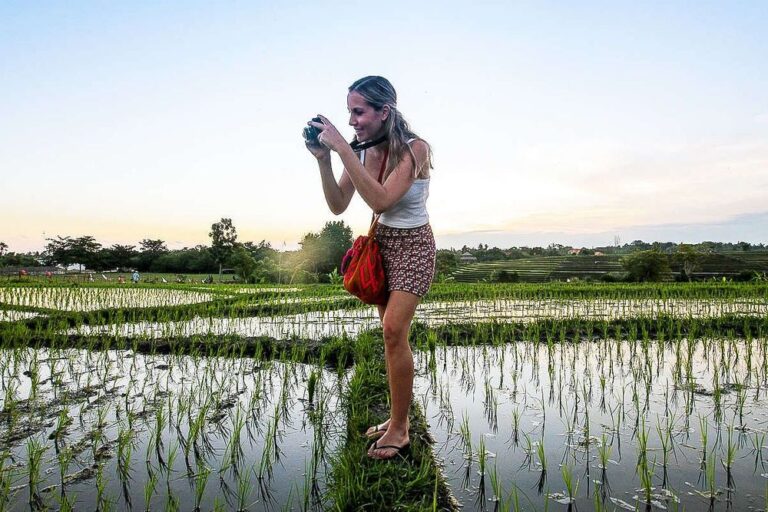 Woman photographing rice fields at sunset