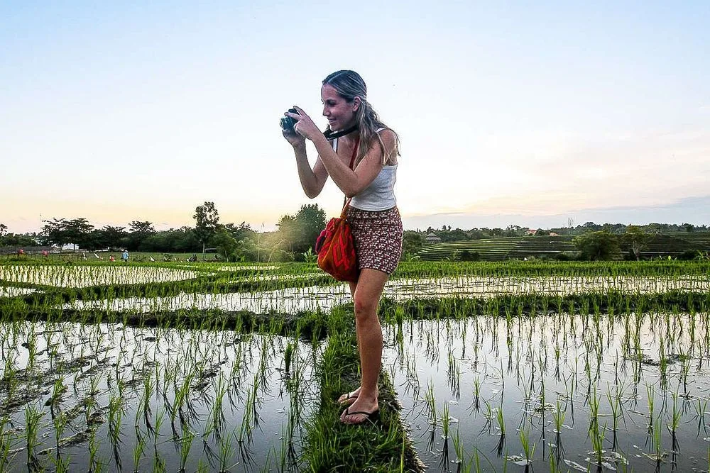 Woman photographing rice fields at sunset