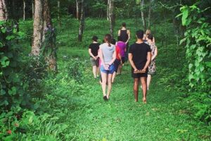 Group walking through lush green forest trail