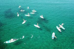Aerial view of people paddleboarding on turquoise ocean