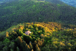 Secluded house surrounded by lush forested hills