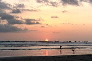 Sunset over ocean with person and dog
