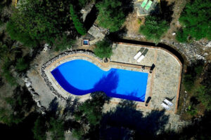 Aerial view of curved backyard swimming pool