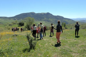 Group hiking through green meadow toward mountains