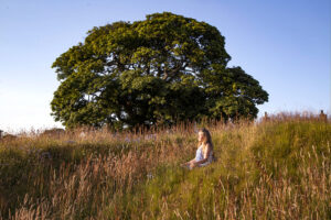 Woman sitting in tall meadow grass near tree