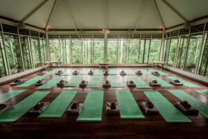 Yoga studio with green mats and forest view