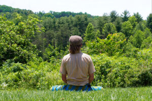 Person meditating facing lush green forest landscape