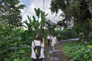 People walking along lush tropical forest path