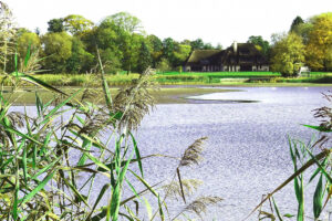 Lakeside house surrounded by trees and tall reeds