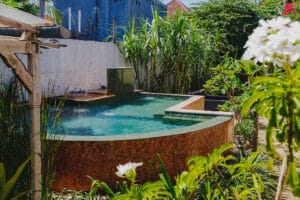 Small tropical backyard pool with lush greenery