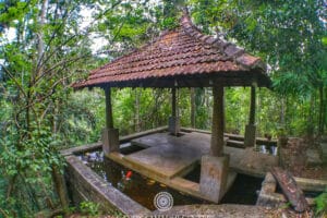 Forest pavilion over koi pond with tiled roof