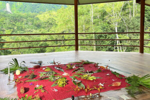 Red ceremonial cloth with leaves in jungle pavilion