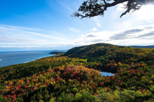 Autumn forest overlooking ocean and coastal hills