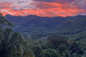 Tropical rainforest hills under vibrant red sunset sky