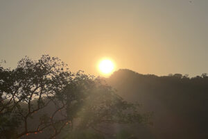 Sunset over hills with silhouetted trees