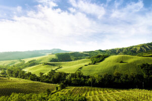 Rolling green hills under blue sky