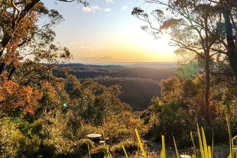 Sunset over forested hills framed by trees