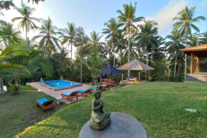 5 Day Organic Juice Detox, Daily Spa & Yoga Culture Retreat, Bali 4