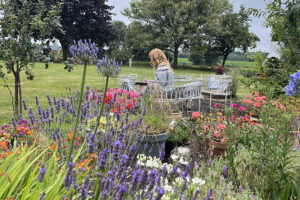 Woman seated in colorful garden patio setting