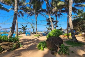 Tropical beach with palm trees and outdoor seating