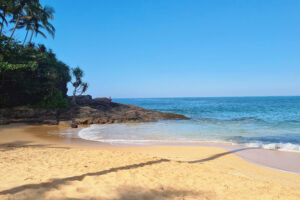 Tropical beach with palm trees and rocky shoreline