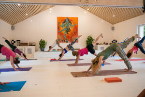 Yoga class practicing three-legged downward dog pose
