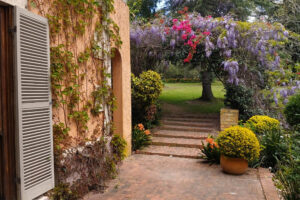 Garden archway with blooming wisteria and brick steps