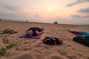 People relaxing on beach at sunset with dog