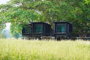 Modern black cabins on stilts in meadow