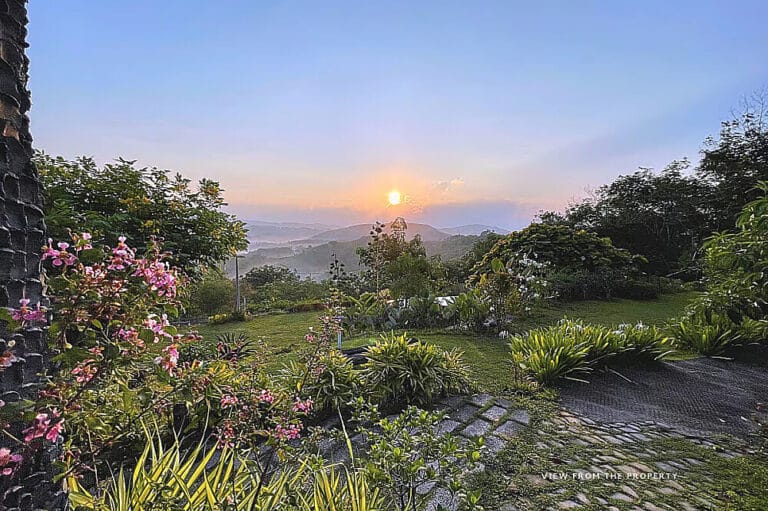 Sunrise over misty mountains and lush garden