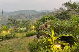 Lush tropical garden with hillside view at dusk
