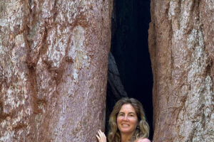 Woman standing between giant tree trunks