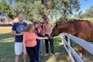 Group feeding brown horse over white fence