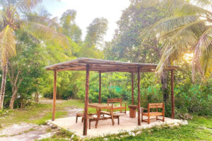 Wooden gazebo with benches in tropical garden