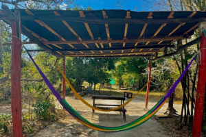 Colorful hammocks under rustic outdoor shelter