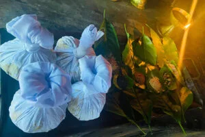 White cloth bundles and leaves with candlelight