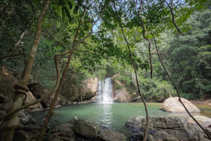 Waterfall cascading into turquoise pool in lush forest
