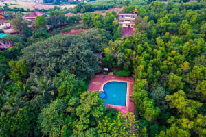 Aerial view of pool surrounded by lush forest